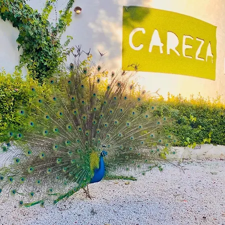 La Careza De - Adults Only *